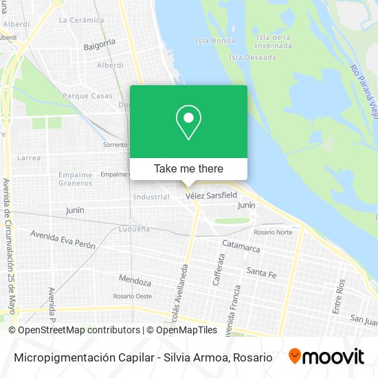 Mapa de Micropigmentación Capilar - Silvia Armoa