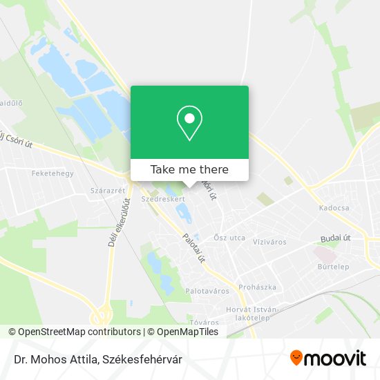 Dr. Mohos Attila map