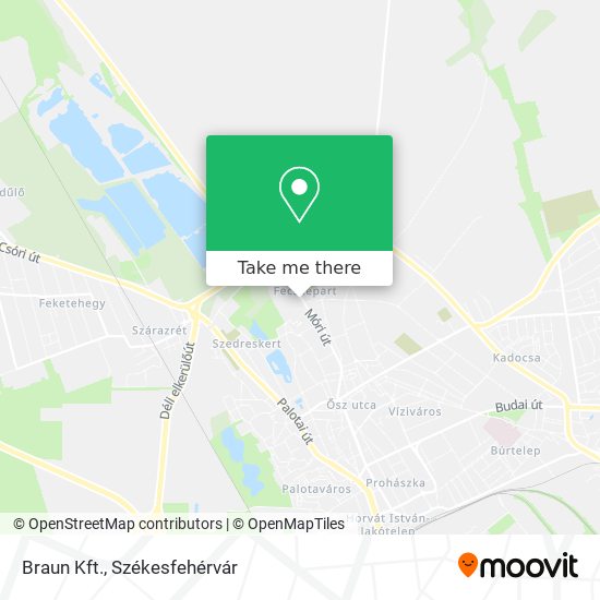 Braun Kft. map