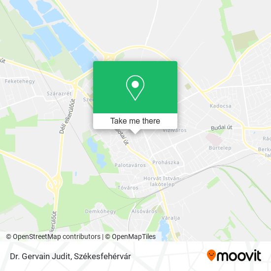 Dr. Gervain Judit map
