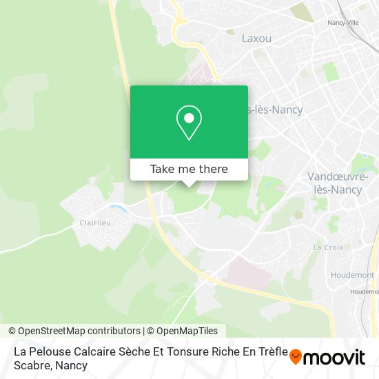 La Pelouse Calcaire Sèche Et Tonsure Riche En Trèfle Scabre map