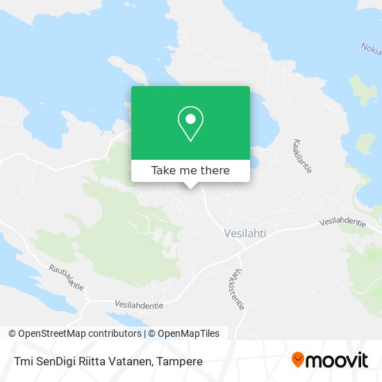 Tmi SenDigi Riitta Vatanen map