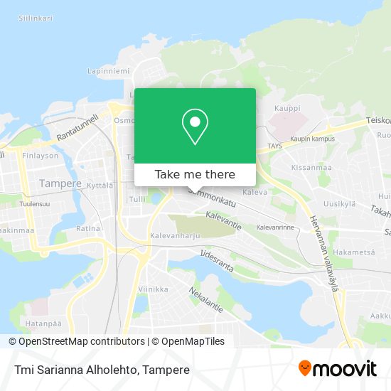 Tmi Sarianna Alholehto map