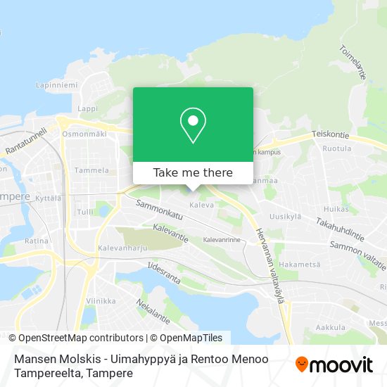 Mansen Molskis - Uimahyppyä ja Rentoo Menoo Tampereelta map