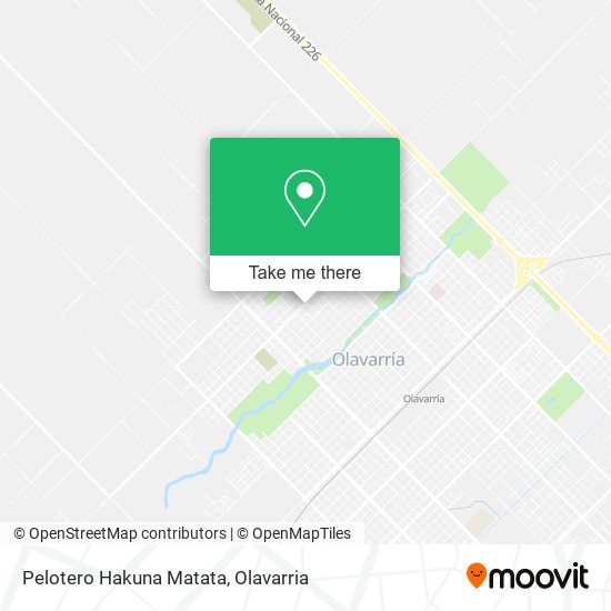 Pelotero Hakuna Matata map