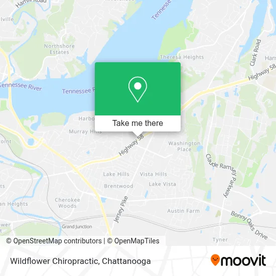Wildflower Chiropractic map