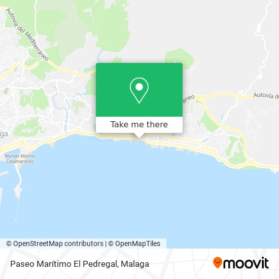 Paseo Marítimo El Pedregal map