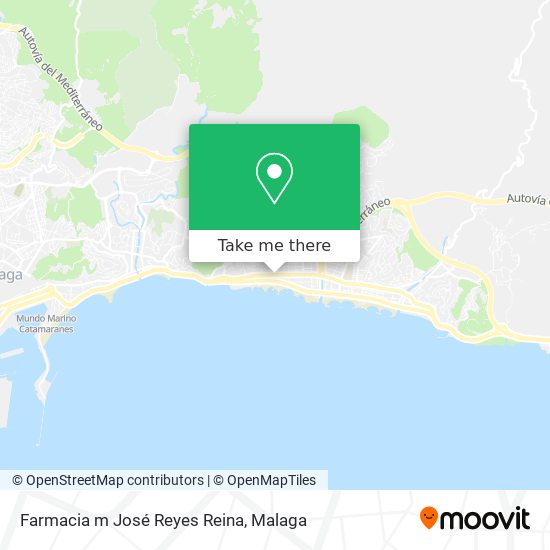 Farmacia m José Reyes Reina map