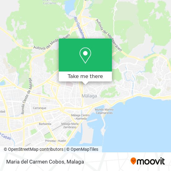 Maria del Carmen Cobos map