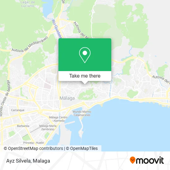 Ayz Silvela map