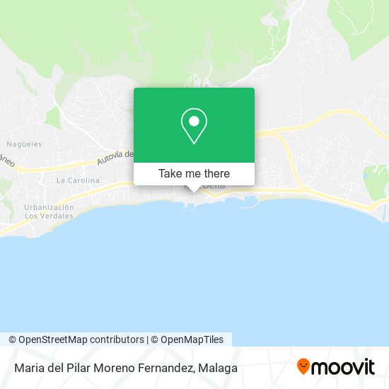 Maria del Pilar Moreno Fernandez map