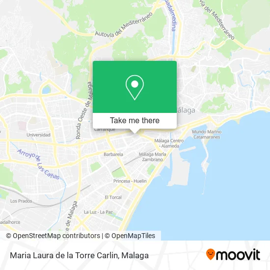 Maria Laura de la Torre Carlin map