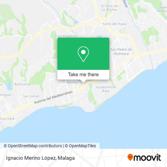 Ignacio Merino López map