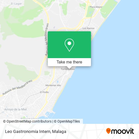 Leo Gastronomía Intern map
