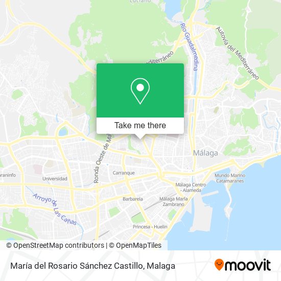 María del Rosario Sánchez Castillo map