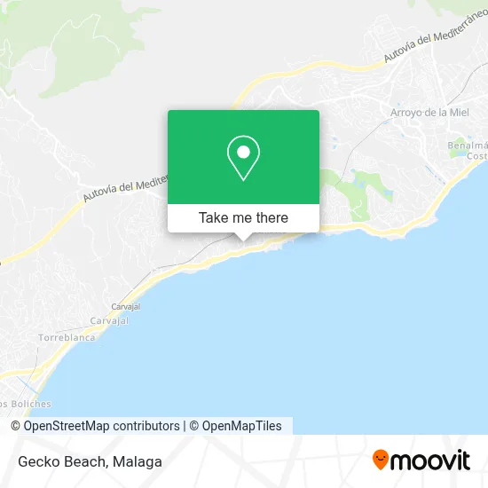 Gecko Beach map