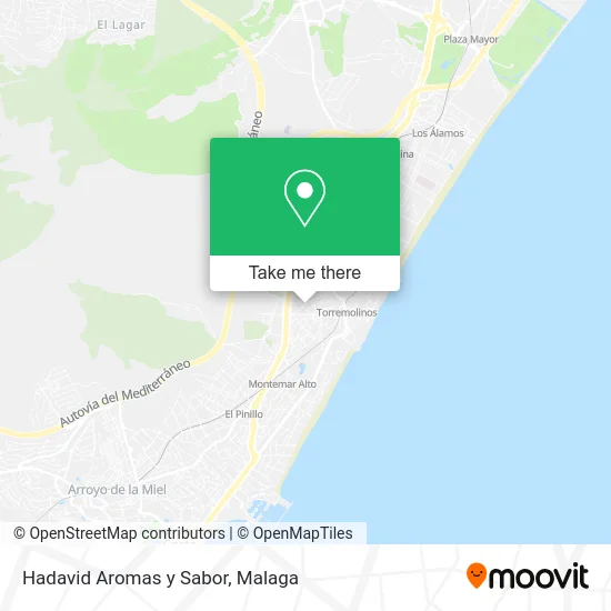 Hadavid Aromas y Sabor map