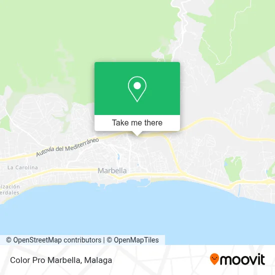 Color Pro Marbella map