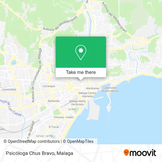 Psicóloga Chus Bravo map