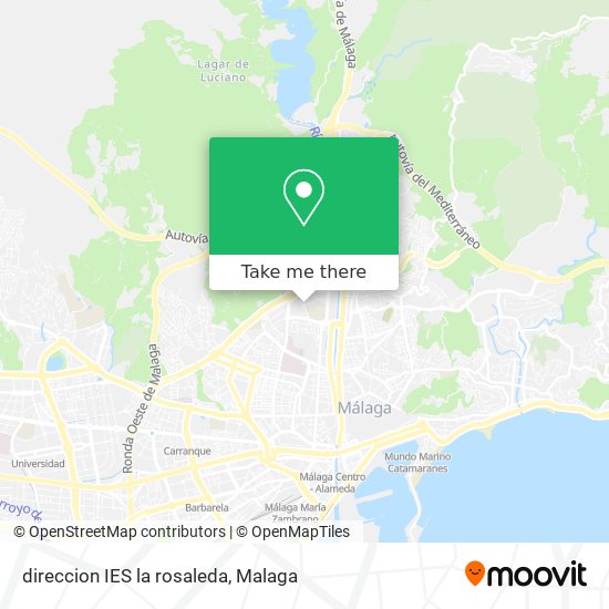 direccion IES la rosaleda map