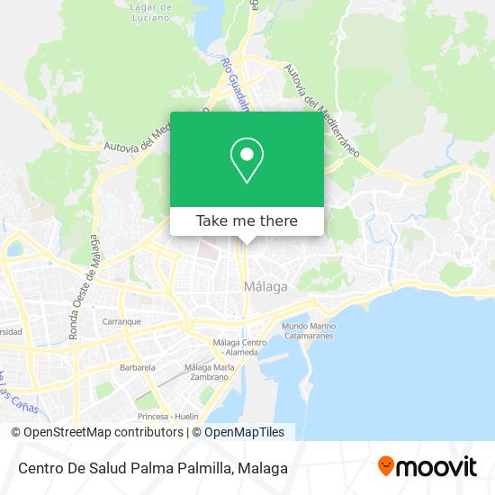 Centro De Salud Palma Palmilla map