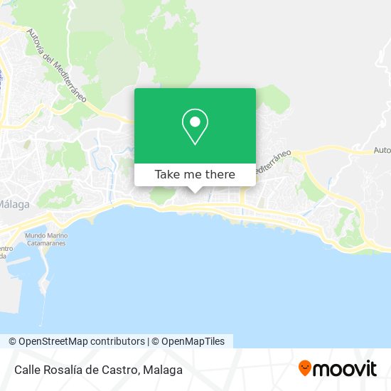 Calle Rosalía de Castro map