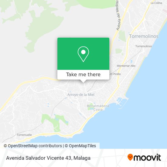 Avenida Salvador Vicente 43 map