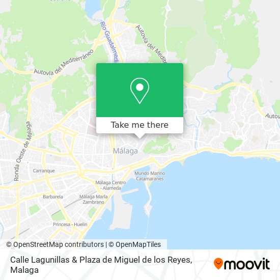 Calle Lagunillas & Plaza de Miguel de los Reyes map