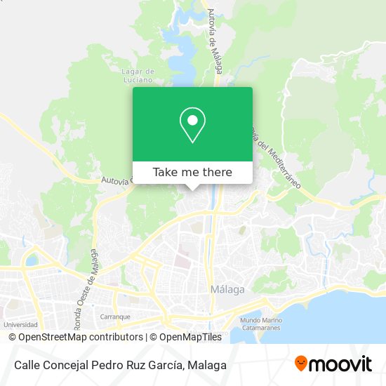 Calle Concejal Pedro Ruz García map