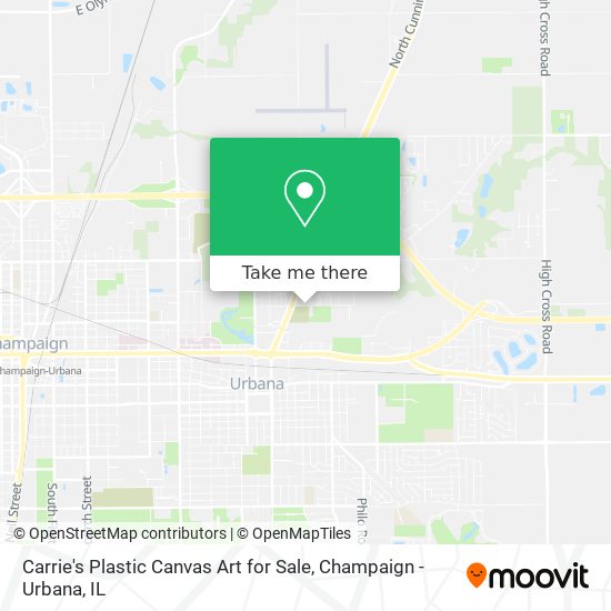 Carrie's Plastic Canvas Art for Sale map