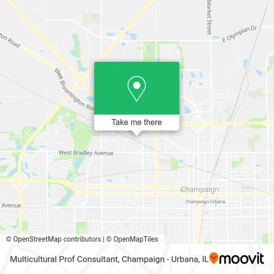 Multicultural Prof Consultant map