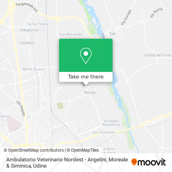 Ambulatorio Veterinario Nordest - Angelini, Moreale & Siminica map