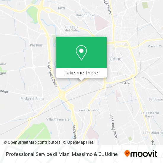 Professional Service di Miani Massimo & C. map