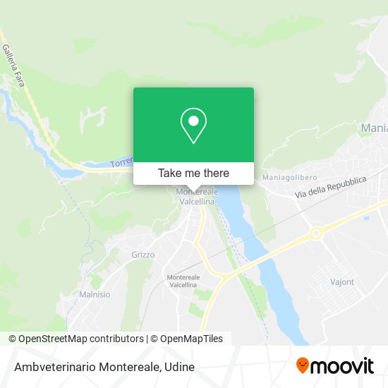Ambveterinario Montereale map