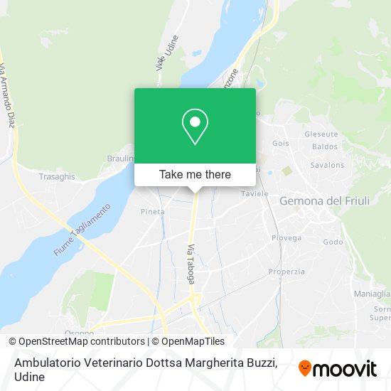 Ambulatorio Veterinario Dottsa Margherita Buzzi map
