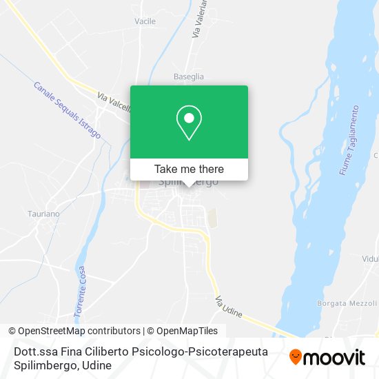 Dott.ssa Fina Ciliberto Psicologo-Psicoterapeuta Spilimbergo map