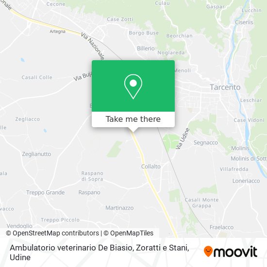 Ambulatorio veterinario De Biasio, Zoratti e Stani map