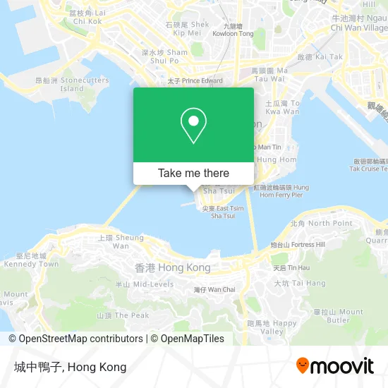 城中鴨子 map