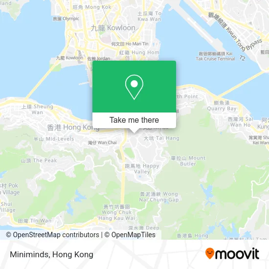 Miniminds map