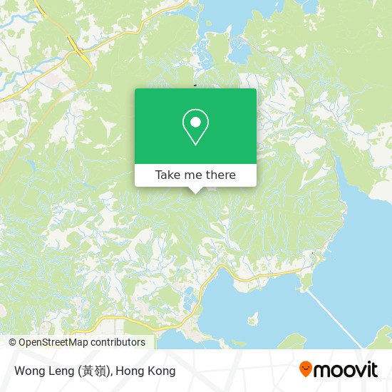 Wong Leng (黃嶺)地圖