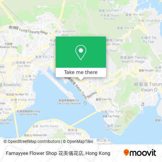 Famayyee Flower Shop 花美儀花店 map