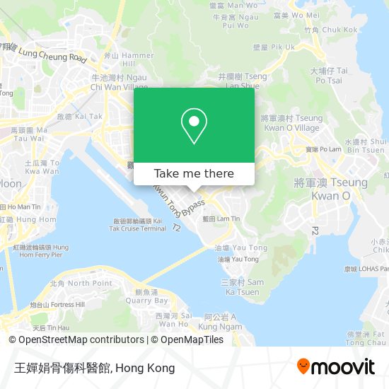 王嬋娟骨傷科醫館 map