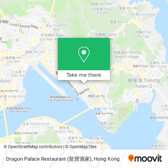 Dragon Palace Restaurant (龍寶酒家)地圖