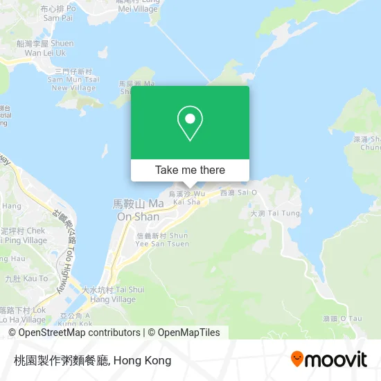 桃園製作粥麵餐廳 map