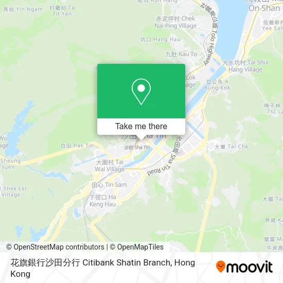 花旗銀行沙田分行 Citibank Shatin Branch地圖