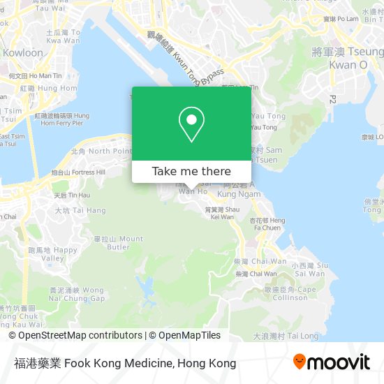 福港藥業 Fook Kong Medicine地圖