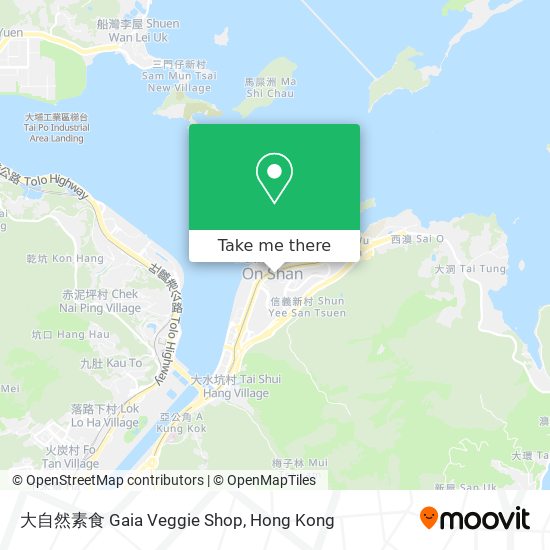 大自然素食 Gaia Veggie Shop地圖