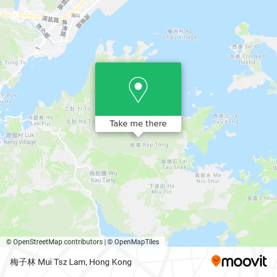 梅子林 Mui Tsz Lam map
