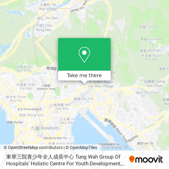 東華三院青少年全人成長中心 Tung Wah Group Of Hospitals’ Holistic Centre For Youth Development map