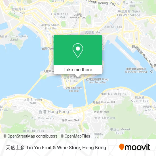 天然士多 Tin Yin Fruit & Wine Store地圖